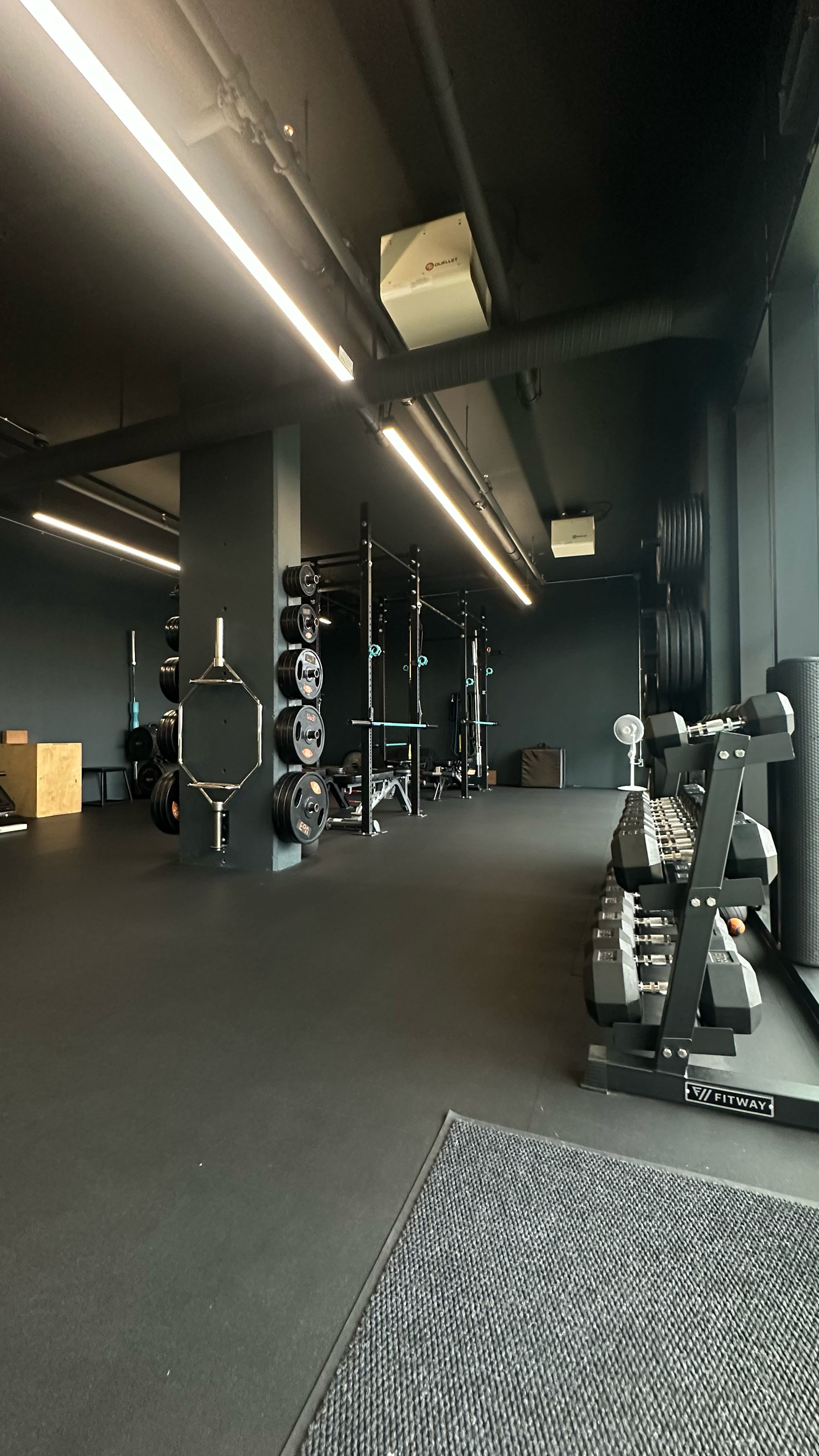 Dumbbells beside the open training floor and strength racks at Bridge