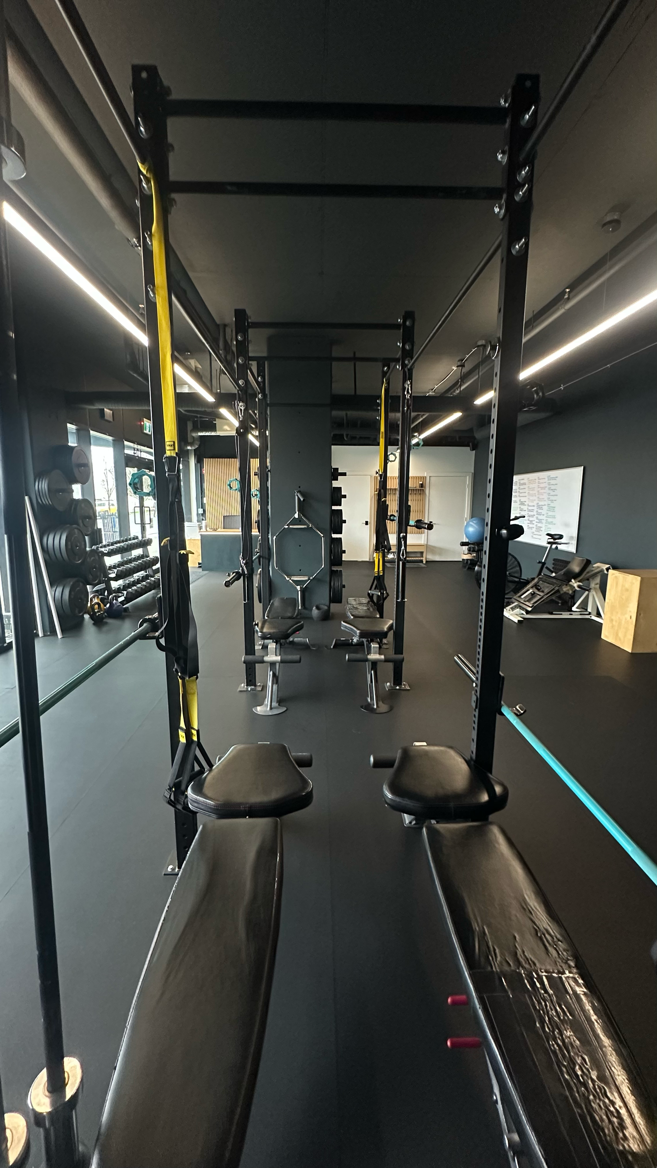 Benches, strength racks, and suspension straps inside the Bridge studio